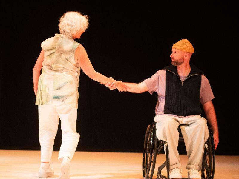 danse habile novembre 2024